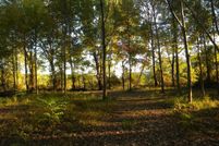 Property for sale in Weakley County, Tennessee