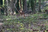 Property for sale in Anderson County, South Carolina