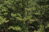 Property for sale in Montgomery County, North Carolina