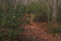 Property for sale in Garrett County, Maryland