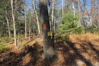 Undeveloped Land for sale in Hampshire County, West Virginia