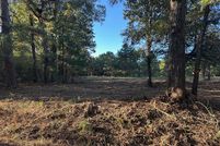 Undeveloped Land for sale in Panola County, Texas