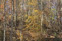 Property for sale in Sevier County, Tennessee