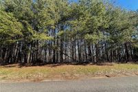 Undeveloped Land for sale in Cherokee County, Georgia