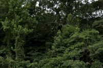 Waterfront Property for sale in Brunswick County, North Carolina