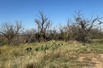 Undeveloped Land for sale in Mitchell County, Texas
