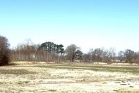 Undeveloped Land for sale in Craighead County, Arkansas