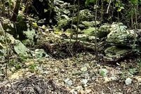 Property for sale in Marion County, Arkansas