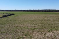 Undeveloped Land for sale in Escambia County, Florida