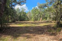 Property for sale in Levy County, Florida