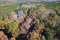 Undeveloped Land for sale in Dinwiddie County, Virginia