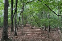 Undeveloped Land for sale in Fannin County, Georgia