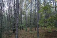 Lakefront Property for sale in Smith County, Mississippi