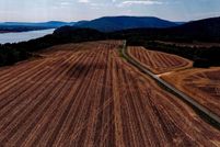 Property for sale in Morgan County, Alabama