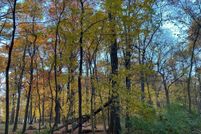 Undeveloped Land for sale in Saint Joseph County, Michigan