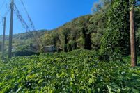 Property for sale in Buchanan County, Virginia