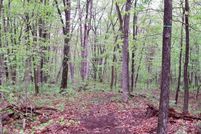 Undeveloped Land for sale in Berkeley County, West Virginia