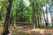 Undeveloped Land for sale in Kalkaska County, Michigan