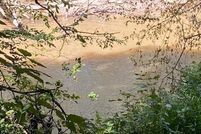 Property for sale in Brunswick County, Virginia