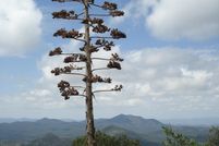 Property for sale in Grant County, New Mexico