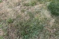 Property for sale in Allen County, Indiana