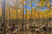 Property for sale in Larimer County, Colorado