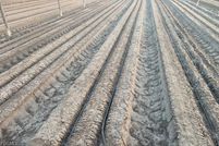 Waterfront Property for sale in Collier County, Florida