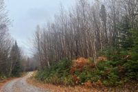 Undeveloped Land for sale in Essex County, Vermont