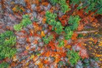 Farm Property for sale in Windham County, Vermont