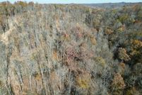 Undeveloped Land for sale in Roane County, West Virginia
