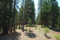 Property for sale in Plumas County, California