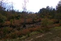 Property for sale in Bladen County, North Carolina