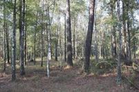 Property for sale in Livingston Parish, Louisiana