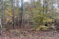 Property for sale in Tallapoosa County, Alabama