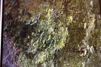 Property for sale in Vanderburgh County, Indiana