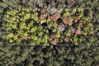 Property for sale in Greene County, Mississippi