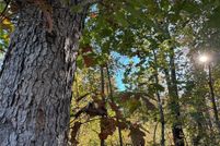 Property for sale in Tallapoosa County, Alabama