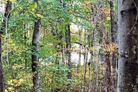 Ranch Property for sale in Henry County, Tennessee