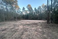Undeveloped Land for sale in Grimes County, Texas