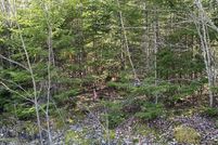 Undeveloped Land for sale in Hancock County, Maine
