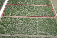 Undeveloped Land for sale in Bee County, Texas