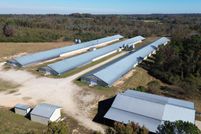 Property for sale in Marion County, Alabama