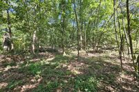 Property for sale in McDonald County, Missouri