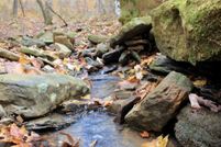 Property for sale in Madison County, Arkansas