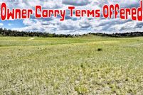 Undeveloped Land for sale in Park County, Colorado