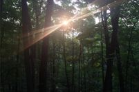 Property for sale in Jackson County, West Virginia