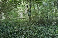 Property for sale in Rockdale County, Georgia