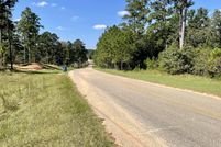 Undeveloped Land for sale in Clarke County, Alabama