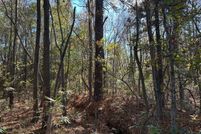Undeveloped Land for sale in Cumberland County, North Carolina
