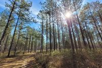 Property for sale in Lowndes County, Alabama